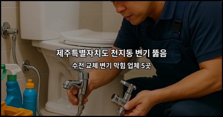 제주특별자치도 천지동 변기 뚫음 수전 교체 변기 막힘 업체 5곳