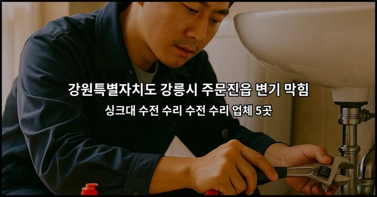 강원특별자치도 강릉시 주문진읍 변기 막힘 싱크대 수전 수리 수전 수리 업체 5곳