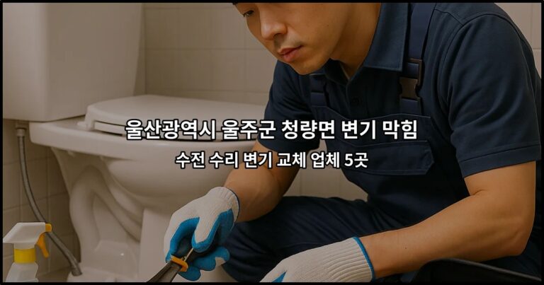울산광역시 울주군 청량면 변기 막힘 수전 수리 변기 교체 업체 5곳