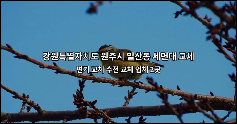 강원특별자치도 원주시 일산동 세면대 교체 변기 교체 수전 교체 업체 2곳