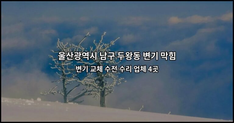 울산광역시 남구 두왕동 변기 막힘 변기 교체 수전 수리 업체 4곳