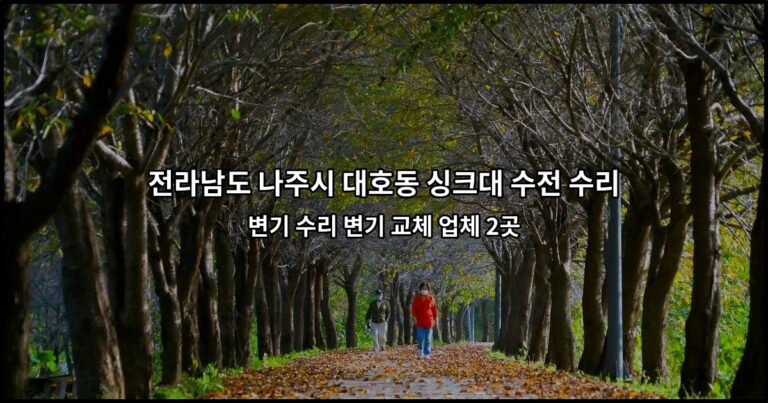 전라남도 나주시 대호동 싱크대 수전 수리 변기 수리 변기 교체 업체 2곳